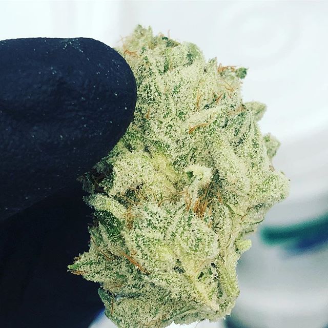 Northeast Alternatives - Medical Website