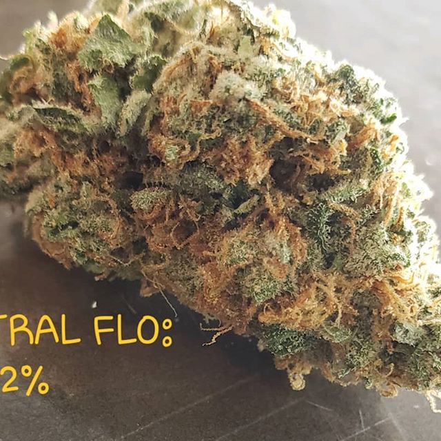 Oregon Bud Company - Beaverton Website