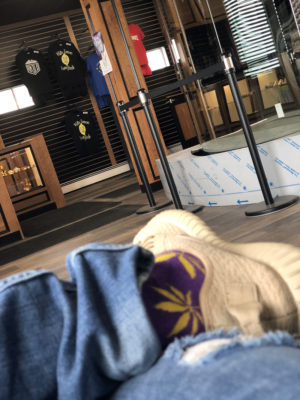 Alaska's Green Light District Website