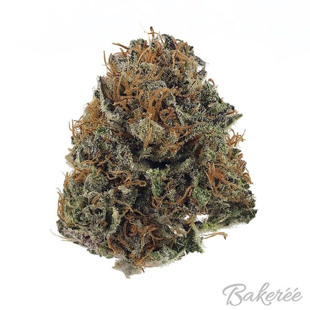 The Bakeréé Website