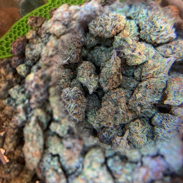 Highway 420 Seaside Website