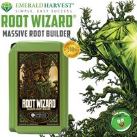 Big Green Tomato Website