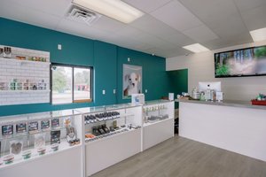 CBD Plus USA - East Moore - CBD Only Website