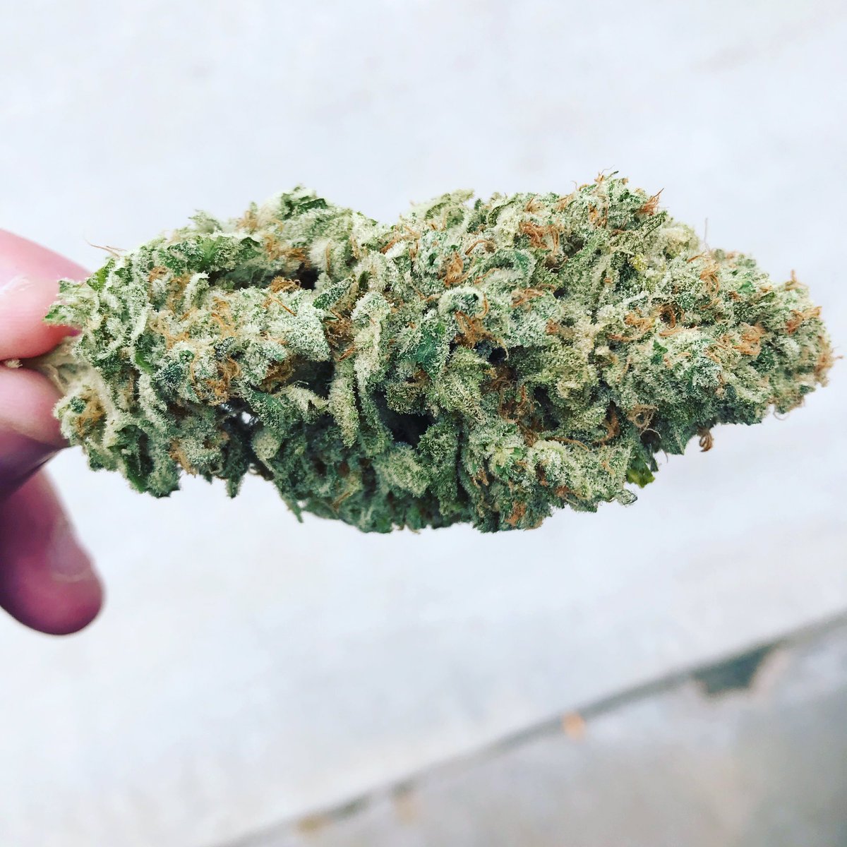 Rooted Zen Dispensary (Coming Soon!) Website