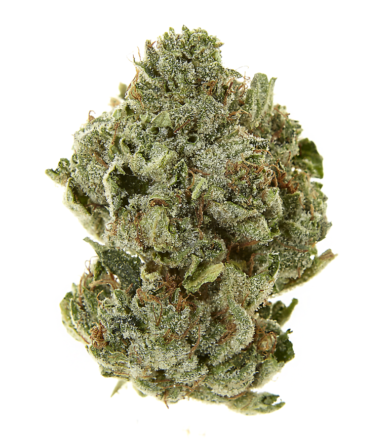 AGT - Lake Forest Website