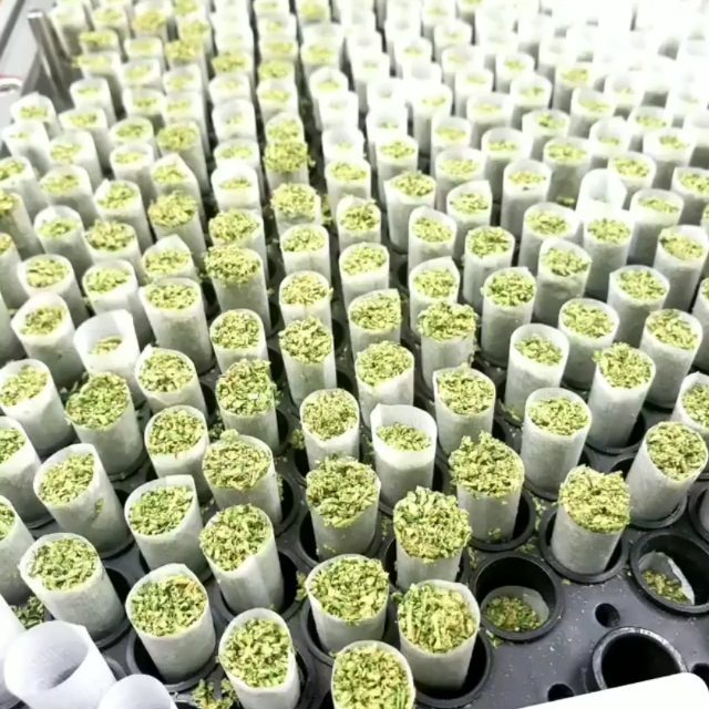 Smokey's 420 House - Fort Collins Website