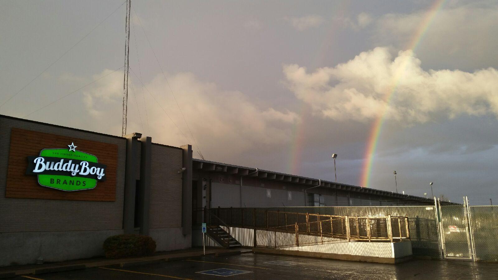 Buddy Boy York Website