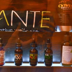 Santé - Durango Website