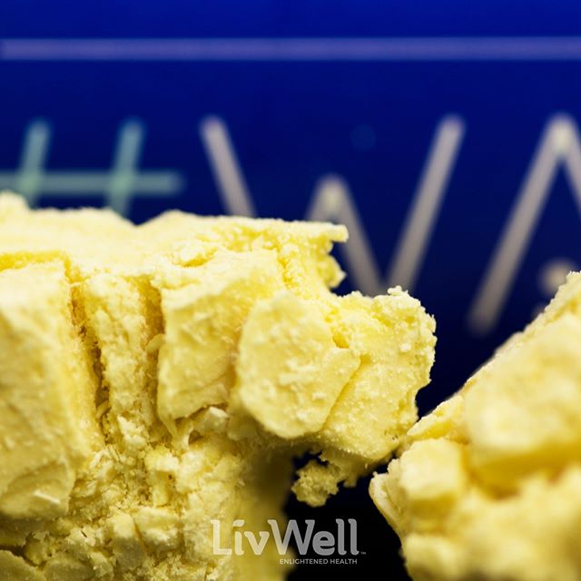 LivWell - Springfield Website