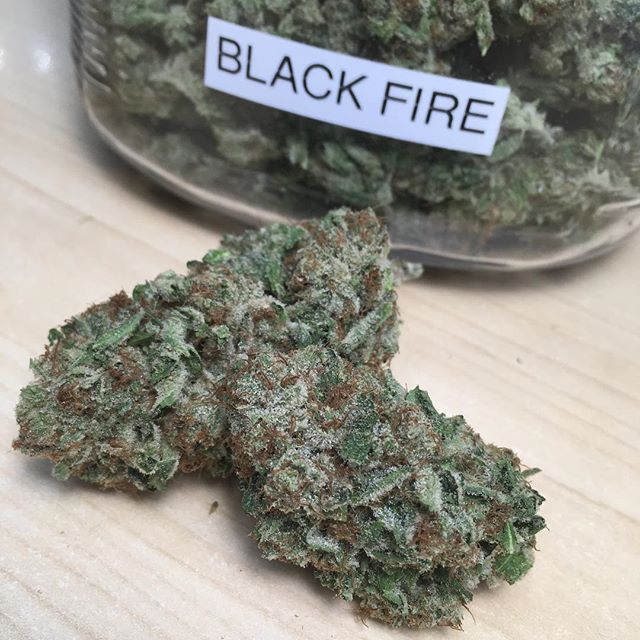 Harvest House Nederland Website