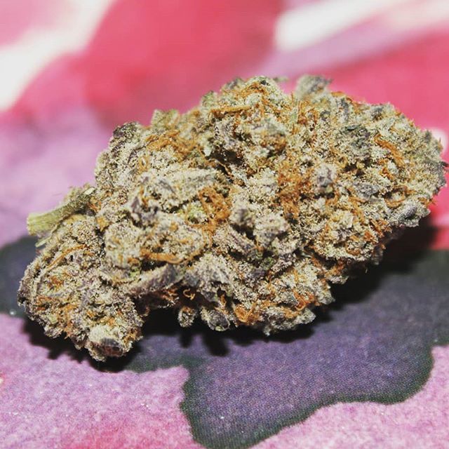 The Agrestic North Website