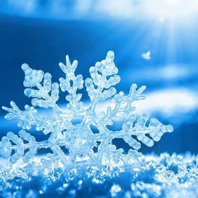 The Agrestic North Website