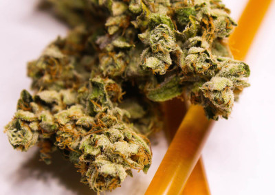 Twenty After Four Wellness Center Website