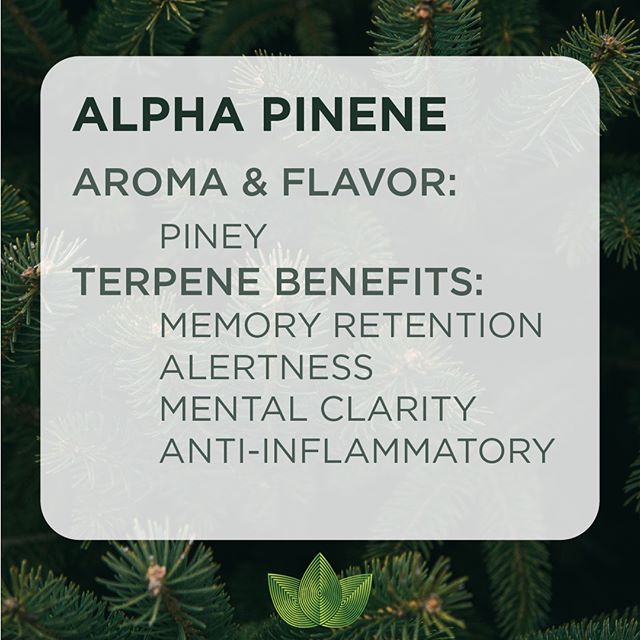 Zen Leaf - Jessup Website