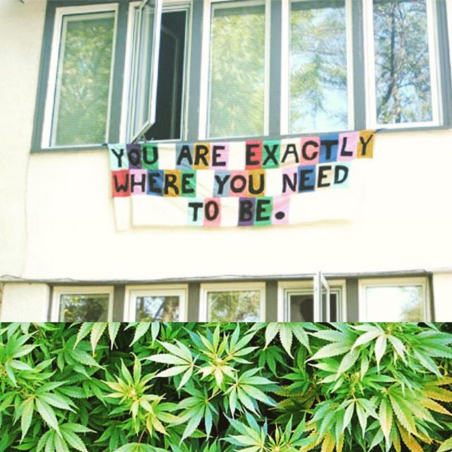 MediGreen Collectives Website