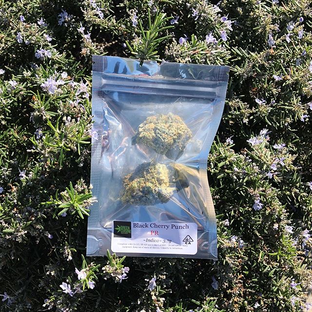 Canopy Health and Wellness Website