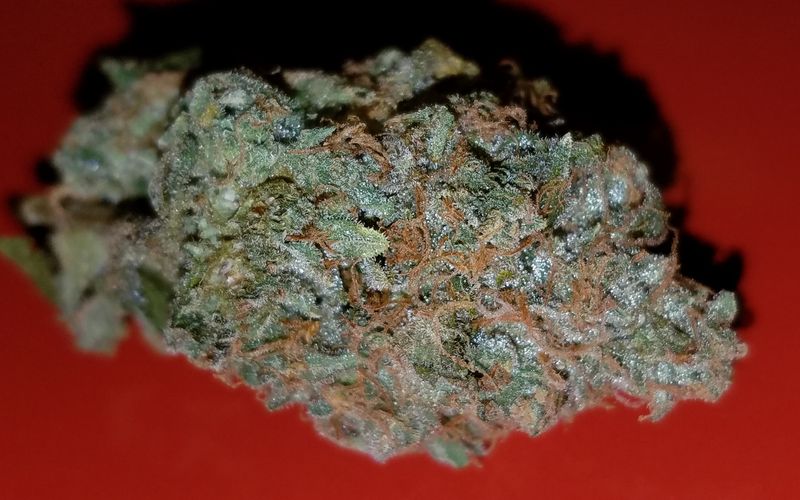 Secret Stash Xpress Website