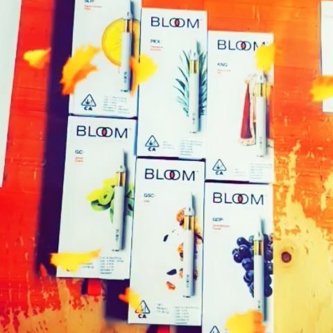 Stone Age Pharmacy Los Angeles Website