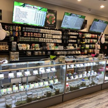 Canto Diem Collective Website