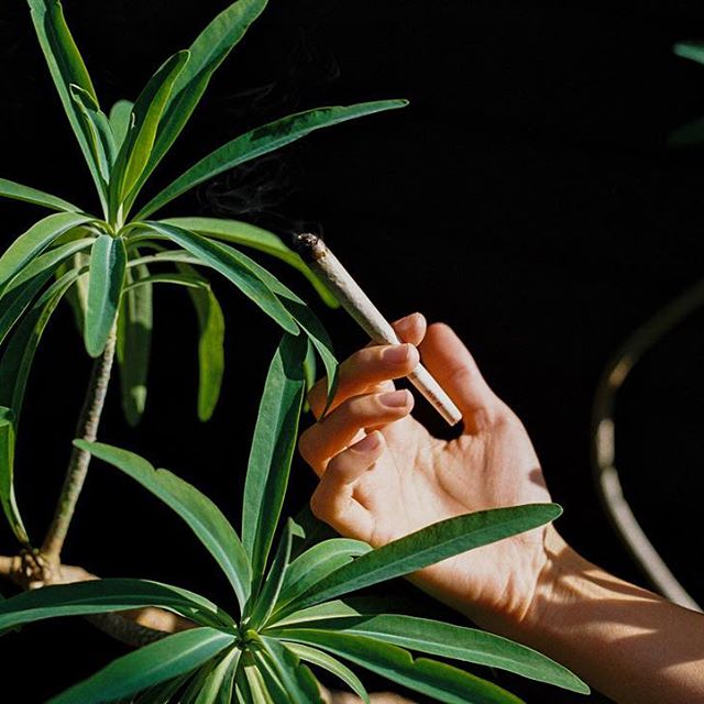 Sunday Goods Delivery - Phoenix Website