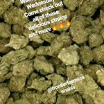 HI Casual Cannabis Astoria Website