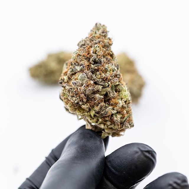 Health for Life Ellsworth Website