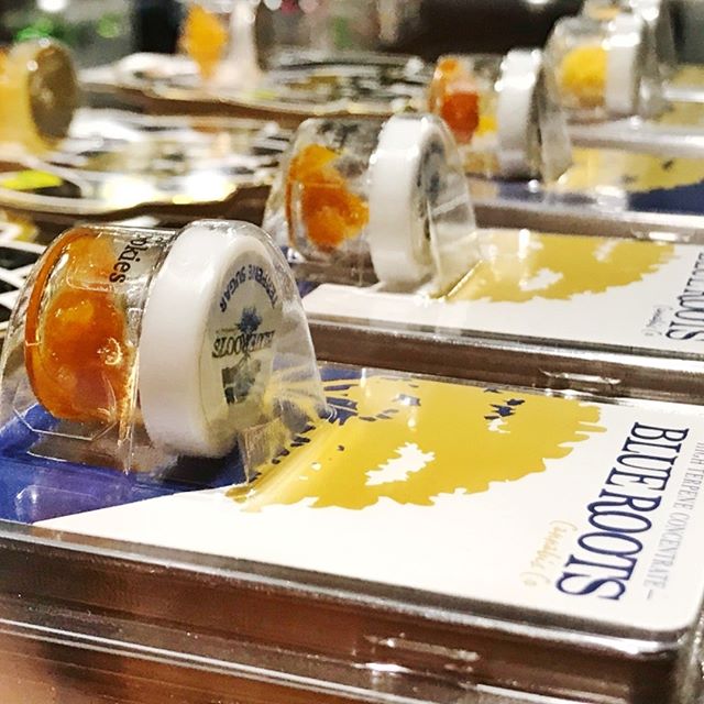 Cinder - Downtown Spokane Website