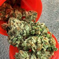 420EvaluationsOnline - Murrieta Website