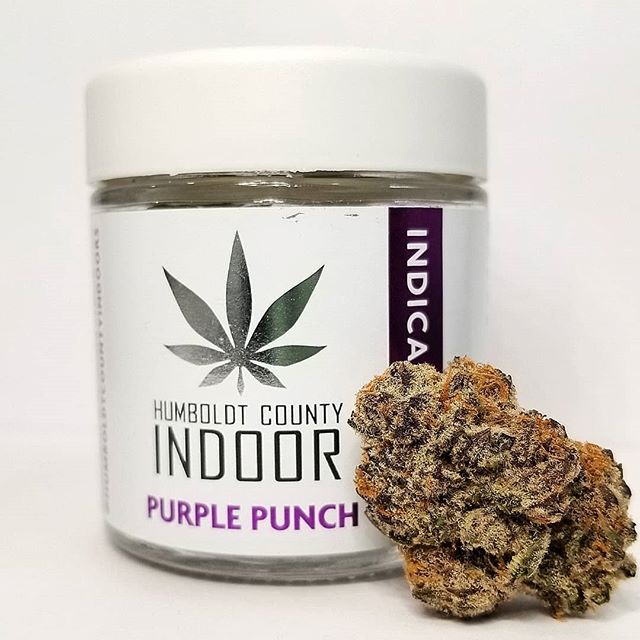 The Kind Center Website