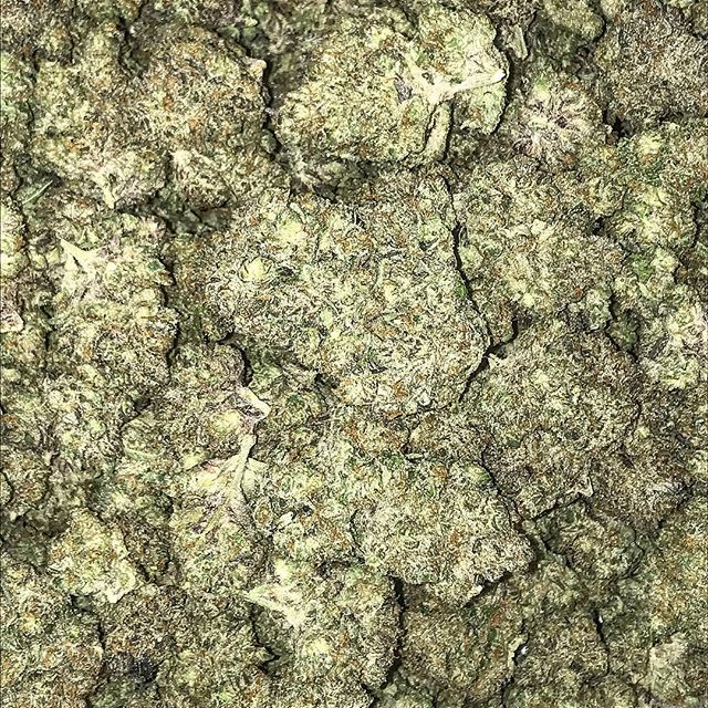 Spark1 - Missoula Website