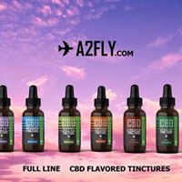 A2FLY Website