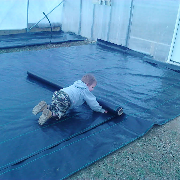 Hydroponic Consultancy Website