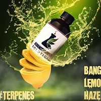 Advanced Terpene Solutions Website