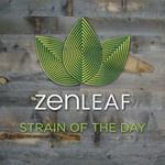 Zen Leaf - Jessup Website