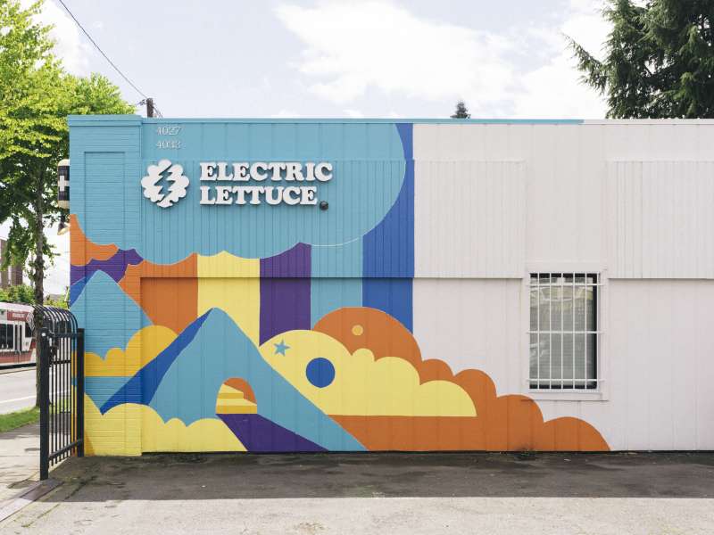Electric Lettuce - Overlook Website