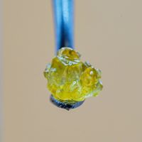 Harmony Extracts Website