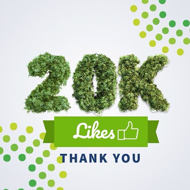 Trulieve - Boynton Beach Website