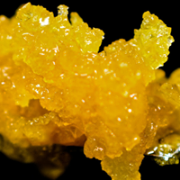 Dabs Labs Website