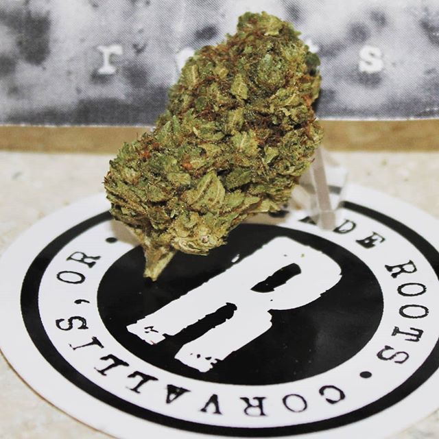 The Agrestic North Website