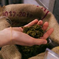 The Secret Pot Website