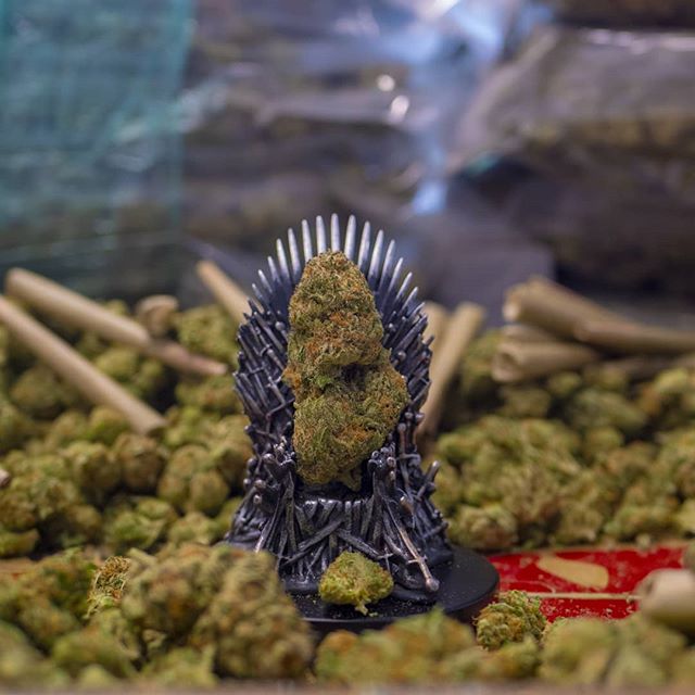 Trees Waterfront Website