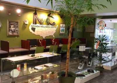 Nevada Wellness Center Website