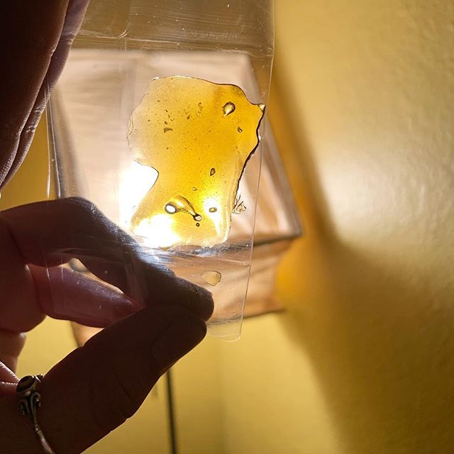 Kush21 - Pullman Website