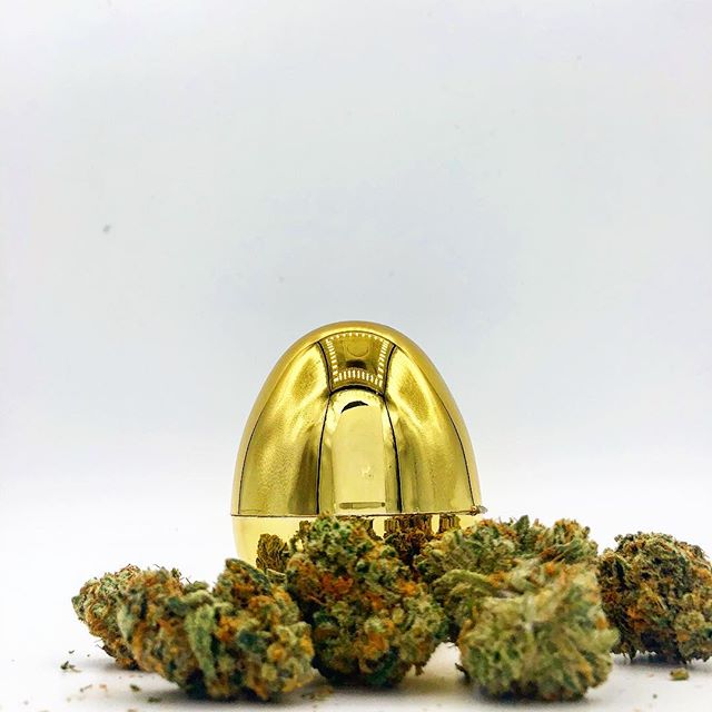 Diego Pellicer - Denver Website