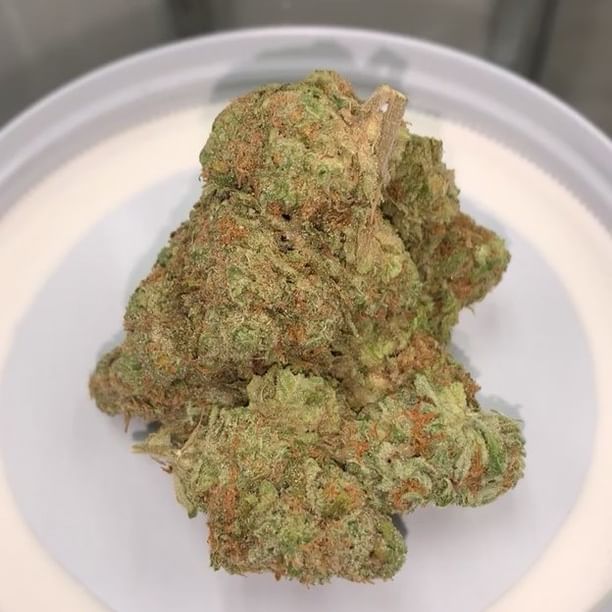 Greenwood Wellness Dispensary Website