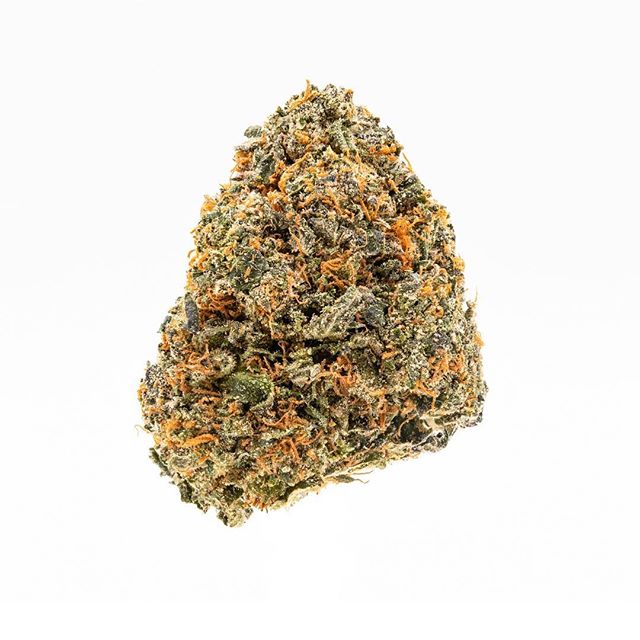 Health for Life Ellsworth Website