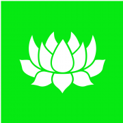 Arya Wellness Center