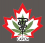 Canadian Association of Veterinary Cannabinoid Medicine