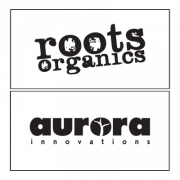 aurora innovations