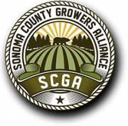 SCG Organization, Inc.
